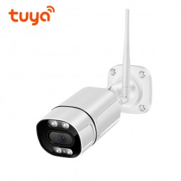 tuya cctv