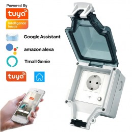 Tuya Double Schuko Smart WiFi Socket 16A with Consumption Measurement