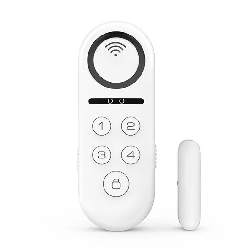 Capteur D Alarme De Porte Et Fen Tre Wifi Intelligent Tuya Avec Sir Ne