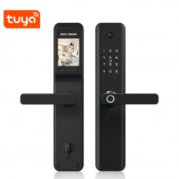 Review/test Tuya Smart Fingerprint Locks