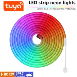 Tuya Striscia LED Neon RGB Professionale 12V Impermeabile