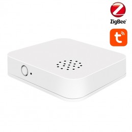 Tuya Smart Zigbee Vibration...