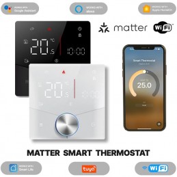 Termostato Smart Matter...