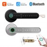 Tuya 4-in-1 Bluetooth Smart Lock mit Fingerabdruck